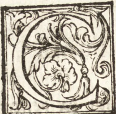 An illustration from Thesavrvs artificiosae memoriae : concionatoribus, philosophis, medicis, iuristis, oratoribus, procuratoribus, caeterisq; bonarum litterarum amatoribus, negociatoribus insuper alijsq; similibus, tenacem ac firmam rerum memoriam cupientibus, perutilis : ac omnes sui amatores & possessores valde locupletans, insimulq; decorant : cum rerum c[ae]lestium atq; terrestrium tenax, ac tutum scrinium esse possit, 1579, leaf 221