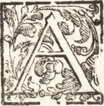 An illustration from Thesavrvs artificiosae memoriae : concionatoribus, philosophis, medicis, iuristis, oratoribus, procuratoribus, caeterisq; bonarum litterarum amatoribus, negociatoribus insuper alijsq; similibus, tenacem ac firmam rerum memoriam cupientibus, perutilis : ac omnes sui amatores & possessores valde locupletans, insimulq; decorant : cum rerum c[ae]lestium atq; terrestrium tenax, ac tutum scrinium esse possit, 1579, leaf 23