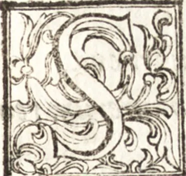 An illustration from Thesavrvs artificiosae memoriae : concionatoribus, philosophis, medicis, iuristis, oratoribus, procuratoribus, caeterisq; bonarum litterarum amatoribus, negociatoribus insuper alijsq; similibus, tenacem ac firmam rerum memoriam cupientibus, perutilis : ac omnes sui amatores & possessores valde locupletans, insimulq; decorant : cum rerum c[ae]lestium atq; terrestrium tenax, ac tutum scrinium esse possit, 1579, leaf 238