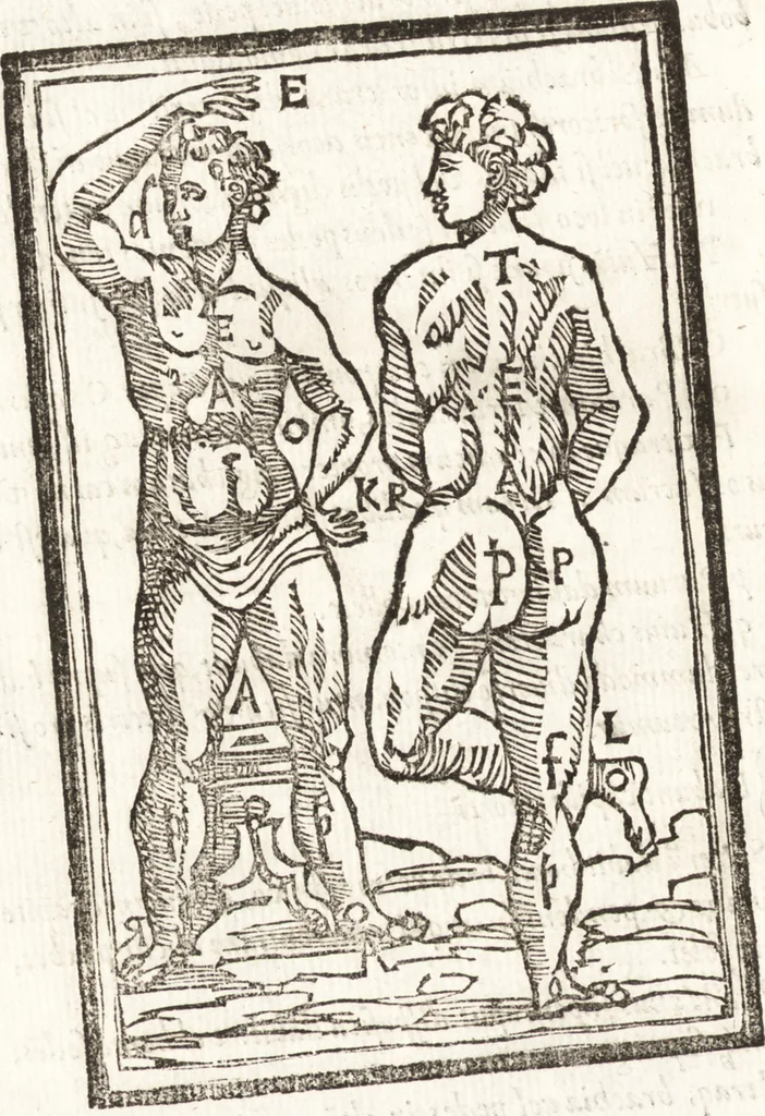 An illustration from Thesavrvs artificiosae memoriae : concionatoribus, philosophis, medicis, iuristis, oratoribus, procuratoribus, caeterisq; bonarum litterarum amatoribus, negociatoribus insuper alijsq; similibus, tenacem ac firmam rerum memoriam cupientibus, perutilis : ac omnes sui amatores & possessores valde locupletans, insimulq; decorant : cum rerum c[ae]lestium atq; terrestrium tenax, ac tutum scrinium esse possit, 1579, leaf 241