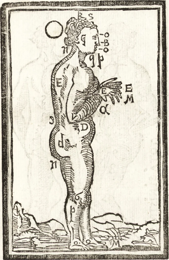 An illustration from Thesavrvs artificiosae memoriae : concionatoribus, philosophis, medicis, iuristis, oratoribus, procuratoribus, caeterisq; bonarum litterarum amatoribus, negociatoribus insuper alijsq; similibus, tenacem ac firmam rerum memoriam cupientibus, perutilis : ac omnes sui amatores & possessores valde locupletans, insimulq; decorant : cum rerum c[ae]lestium atq; terrestrium tenax, ac tutum scrinium esse possit, 1579, leaf 242