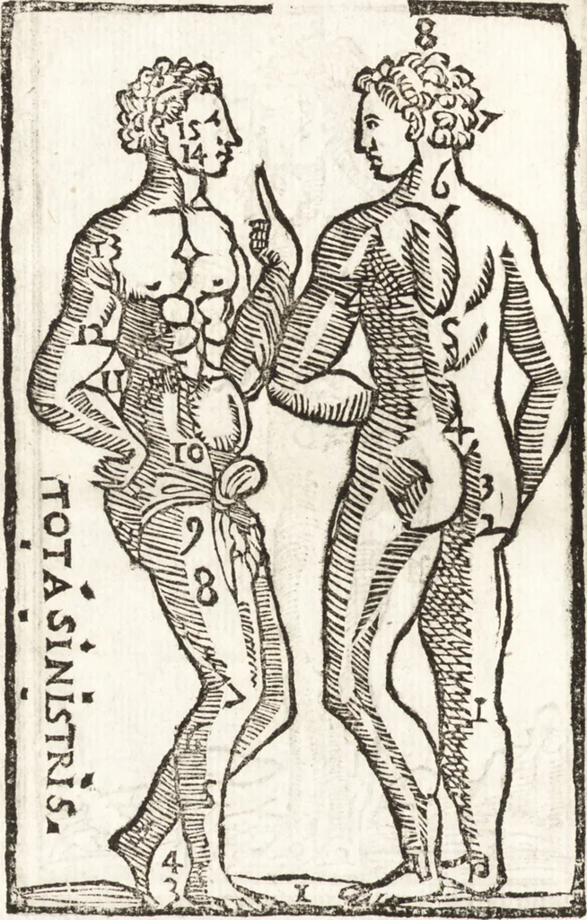 An illustration from Thesavrvs artificiosae memoriae : concionatoribus, philosophis, medicis, iuristis, oratoribus, procuratoribus, caeterisq; bonarum litterarum amatoribus, negociatoribus insuper alijsq; similibus, tenacem ac firmam rerum memoriam cupientibus, perutilis : ac omnes sui amatores & possessores valde locupletans, insimulq; decorant : cum rerum c[ae]lestium atq; terrestrium tenax, ac tutum scrinium esse possit, 1579, leaf 243