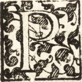 An illustration from Thesavrvs artificiosae memoriae : concionatoribus, philosophis, medicis, iuristis, oratoribus, procuratoribus, caeterisq; bonarum litterarum amatoribus, negociatoribus insuper alijsq; similibus, tenacem ac firmam rerum memoriam cupientibus, perutilis : ac omnes sui amatores & possessores valde locupletans, insimulq; decorant : cum rerum c[ae]lestium atq; terrestrium tenax, ac tutum scrinium esse possit, 1579, leaf 256