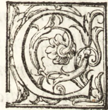 An illustration from Thesavrvs artificiosae memoriae : concionatoribus, philosophis, medicis, iuristis, oratoribus, procuratoribus, caeterisq; bonarum litterarum amatoribus, negociatoribus insuper alijsq; similibus, tenacem ac firmam rerum memoriam cupientibus, perutilis : ac omnes sui amatores & possessores valde locupletans, insimulq; decorant : cum rerum c[ae]lestium atq; terrestrium tenax, ac tutum scrinium esse possit, 1579, leaf 300