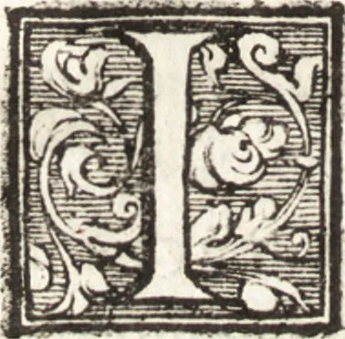 An illustration from Thesavrvs artificiosae memoriae : concionatoribus, philosophis, medicis, iuristis, oratoribus, procuratoribus, caeterisq; bonarum litterarum amatoribus, negociatoribus insuper alijsq; similibus, tenacem ac firmam rerum memoriam cupientibus, perutilis : ac omnes sui amatores & possessores valde locupletans, insimulq; decorant : cum rerum c[ae]lestium atq; terrestrium tenax, ac tutum scrinium esse possit, 1579, leaf 305