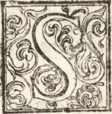 An illustration from Thesavrvs artificiosae memoriae : concionatoribus, philosophis, medicis, iuristis, oratoribus, procuratoribus, caeterisq; bonarum litterarum amatoribus, negociatoribus insuper alijsq; similibus, tenacem ac firmam rerum memoriam cupientibus, perutilis : ac omnes sui amatores & possessores valde locupletans, insimulq; decorant : cum rerum c[ae]lestium atq; terrestrium tenax, ac tutum scrinium esse possit, 1579, leaf 307