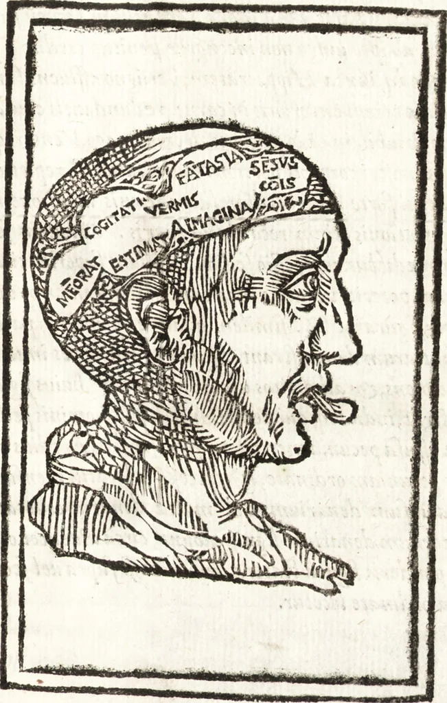 An illustration from Thesavrvs artificiosae memoriae : concionatoribus, philosophis, medicis, iuristis, oratoribus, procuratoribus, caeterisq; bonarum litterarum amatoribus, negociatoribus insuper alijsq; similibus, tenacem ac firmam rerum memoriam cupientibus, perutilis : ac omnes sui amatores & possessores valde locupletans, insimulq; decorant : cum rerum c[ae]lestium atq; terrestrium tenax, ac tutum scrinium esse possit, 1579, leaf 318