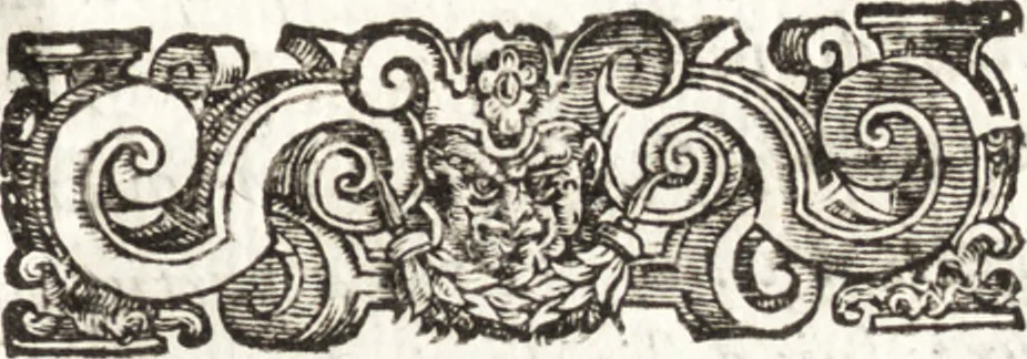 An illustration from Thesavrvs artificiosae memoriae : concionatoribus, philosophis, medicis, iuristis, oratoribus, procuratoribus, caeterisq; bonarum litterarum amatoribus, negociatoribus insuper alijsq; similibus, tenacem ac firmam rerum memoriam cupientibus, perutilis : ac omnes sui amatores & possessores valde locupletans, insimulq; decorant : cum rerum c[ae]lestium atq; terrestrium tenax, ac tutum scrinium esse possit, 1579, leaf 38