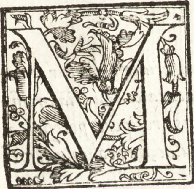 An illustration from Thesavrvs artificiosae memoriae : concionatoribus, philosophis, medicis, iuristis, oratoribus, procuratoribus, caeterisq; bonarum litterarum amatoribus, negociatoribus insuper alijsq; similibus, tenacem ac firmam rerum memoriam cupientibus, perutilis : ac omnes sui amatores & possessores valde locupletans, insimulq; decorant : cum rerum c[ae]lestium atq; terrestrium tenax, ac tutum scrinium esse possit, 1579, leaf 38
