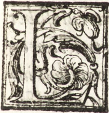 An illustration from Thesavrvs artificiosae memoriae : concionatoribus, philosophis, medicis, iuristis, oratoribus, procuratoribus, caeterisq; bonarum litterarum amatoribus, negociatoribus insuper alijsq; similibus, tenacem ac firmam rerum memoriam cupientibus, perutilis : ac omnes sui amatores & possessores valde locupletans, insimulq; decorant : cum rerum c[ae]lestium atq; terrestrium tenax, ac tutum scrinium esse possit, 1579, leaf 40