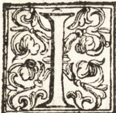An illustration from Thesavrvs artificiosae memoriae : concionatoribus, philosophis, medicis, iuristis, oratoribus, procuratoribus, caeterisq; bonarum litterarum amatoribus, negociatoribus insuper alijsq; similibus, tenacem ac firmam rerum memoriam cupientibus, perutilis : ac omnes sui amatores & possessores valde locupletans, insimulq; decorant : cum rerum c[ae]lestium atq; terrestrium tenax, ac tutum scrinium esse possit, 1579, leaf 54