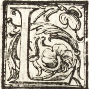 An illustration from Thesavrvs artificiosae memoriae : concionatoribus, philosophis, medicis, iuristis, oratoribus, procuratoribus, caeterisq; bonarum litterarum amatoribus, negociatoribus insuper alijsq; similibus, tenacem ac firmam rerum memoriam cupientibus, perutilis : ac omnes sui amatores & possessores valde locupletans, insimulq; decorant : cum rerum c[ae]lestium atq; terrestrium tenax, ac tutum scrinium esse possit, 1579, leaf 56
