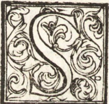 An illustration from Thesavrvs artificiosae memoriae : concionatoribus, philosophis, medicis, iuristis, oratoribus, procuratoribus, caeterisq; bonarum litterarum amatoribus, negociatoribus insuper alijsq; similibus, tenacem ac firmam rerum memoriam cupientibus, perutilis : ac omnes sui amatores & possessores valde locupletans, insimulq; decorant : cum rerum c[ae]lestium atq; terrestrium tenax, ac tutum scrinium esse possit, 1579, leaf 57