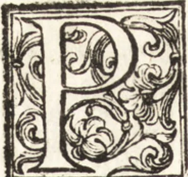 An illustration from Thesavrvs artificiosae memoriae : concionatoribus, philosophis, medicis, iuristis, oratoribus, procuratoribus, caeterisq; bonarum litterarum amatoribus, negociatoribus insuper alijsq; similibus, tenacem ac firmam rerum memoriam cupientibus, perutilis : ac omnes sui amatores & possessores valde locupletans, insimulq; decorant : cum rerum c[ae]lestium atq; terrestrium tenax, ac tutum scrinium esse possit, 1579, leaf 61