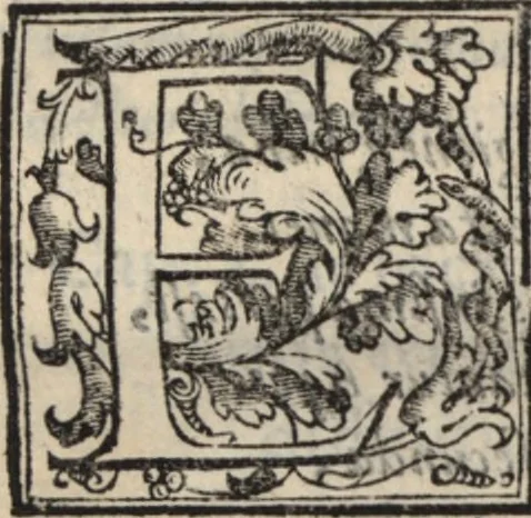 An illustration from Thesavrvs artificiosae memoriae : concionatoribus, philosophis, medicis, iuristis, oratoribus, procuratoribus, caeterisq; bonarum litterarum amatoribus, negociatoribus insuper alijsq; similibus, tenacem ac firmam rerum memoriam cupientibus, perutilis : ac omnes sui amatores & possessores valde locupletans, insimulq; decorant : cum rerum c[ae]lestium atq; terrestrium tenax, ac tutum scrinium esse possit, 1579, leaf 78