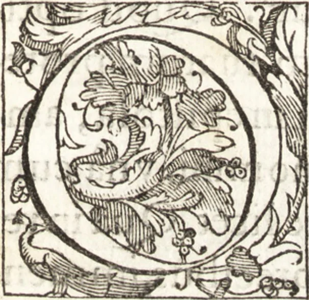 An illustration from Thesavrvs artificiosae memoriae : concionatoribus, philosophis, medicis, iuristis, oratoribus, procuratoribus, caeterisq; bonarum litterarum amatoribus, negociatoribus insuper alijsq; similibus, tenacem ac firmam rerum memoriam cupientibus, perutilis : ac omnes sui amatores & possessores valde locupletans, insimulq; decorant : cum rerum c[ae]lestium atq; terrestrium tenax, ac tutum scrinium esse possit, 1579, leaf 8