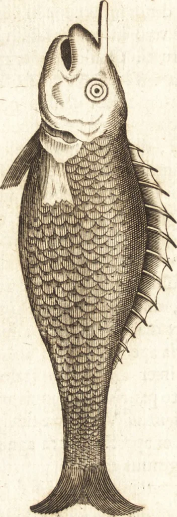 An illustration from Thomae Bartholini De unicornu observationes novae : secunda editione auctiores & emendatiores editae a filio Casparo Bartholino, 1678, leaf 125