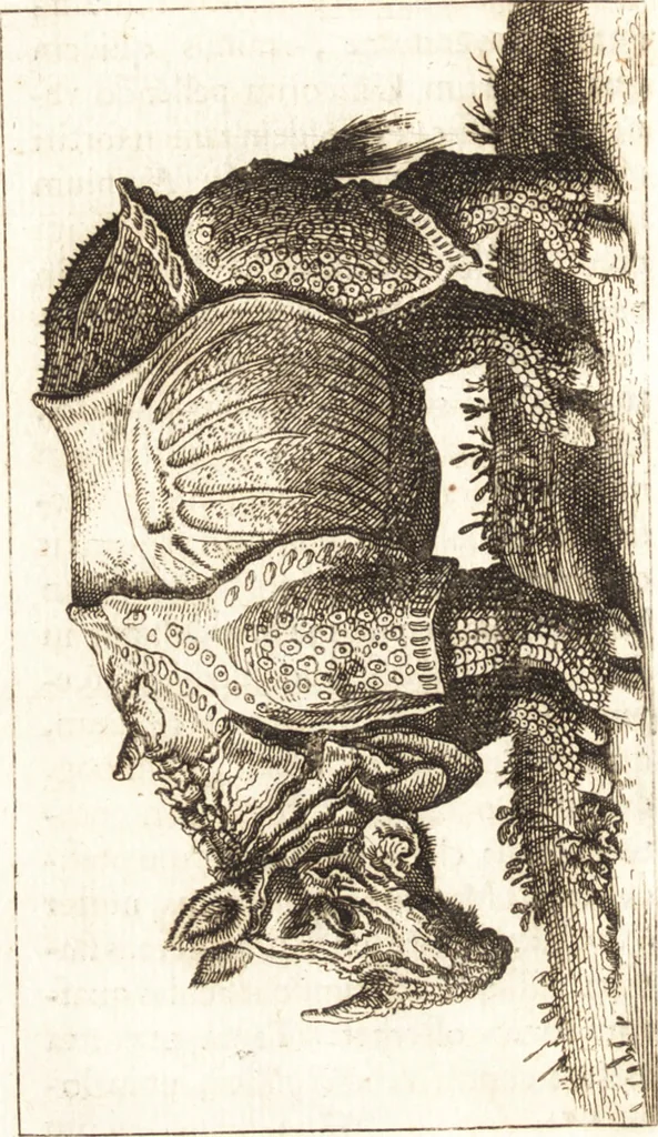 An illustration from Thomae Bartholini De unicornu observationes novae : secunda editione auctiores & emendatiores editae a filio Casparo Bartholino, 1678, leaf 193