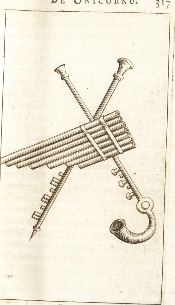 An illustration from Thomae Bartholini De unicornu observationes novae : secunda editione auctiores & emendatiores editae a filio Casparo Bartholino, 1678, leaf 338