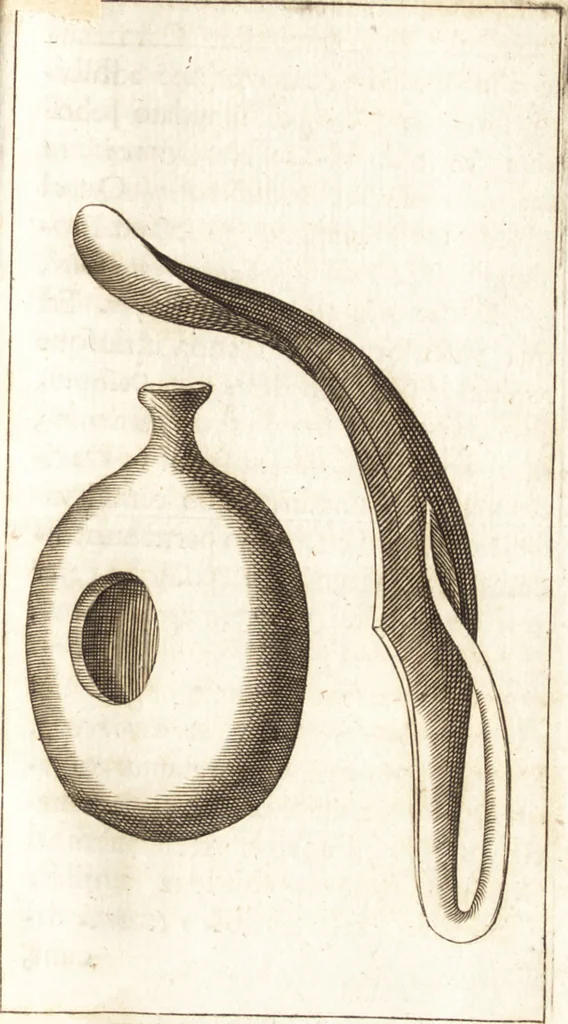 An illustration from Thomae Bartholini De unicornu observationes novae : secunda editione auctiores & emendatiores editae a filio Casparo Bartholino, 1678, leaf 368