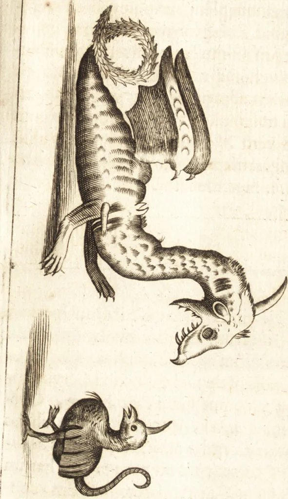 An illustration from Thomae Bartholini De unicornu observationes novae : secunda editione auctiores & emendatiores editae a filio Casparo Bartholino, 1678, leaf 70