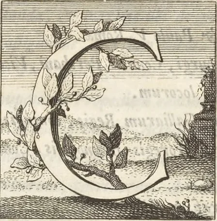 An illustration from Thomae Dempsteri a muresk Scoti pandectarum in Pisano Lyceo professoris ordinarii De Etruria regali libri septem : opus postumum in duas partes divisum, 1723, leaf 18