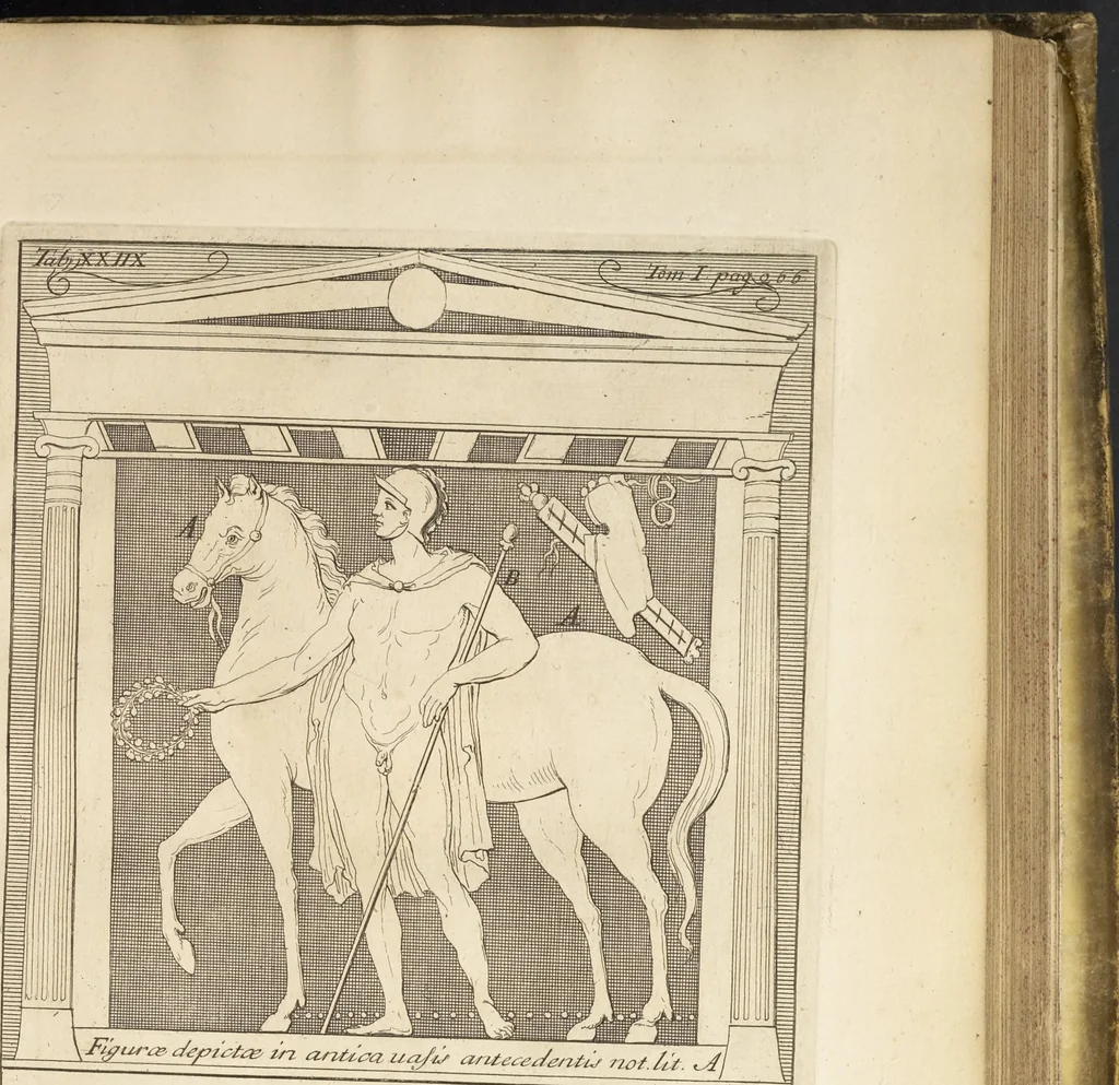 An illustration from Thomae Dempsteri a muresk Scoti pandectarum in Pisano Lyceo professoris ordinarii De Etruria regali libri septem : opus postumum in duas partes divisum, 1723, leaf 390