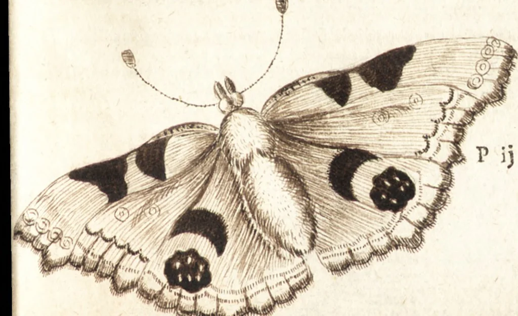An illustration from Traité des pratiques geometrales et perspectives : enseignées dans l'Academie royale de la peinture et sculpture, 1665, leaf 198