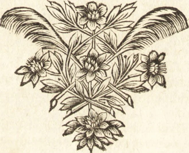 An illustration from Traité des pratiques geometrales et perspectives : enseignées dans l'Academie royale de la peinture et sculpture, 1665, leaf 70