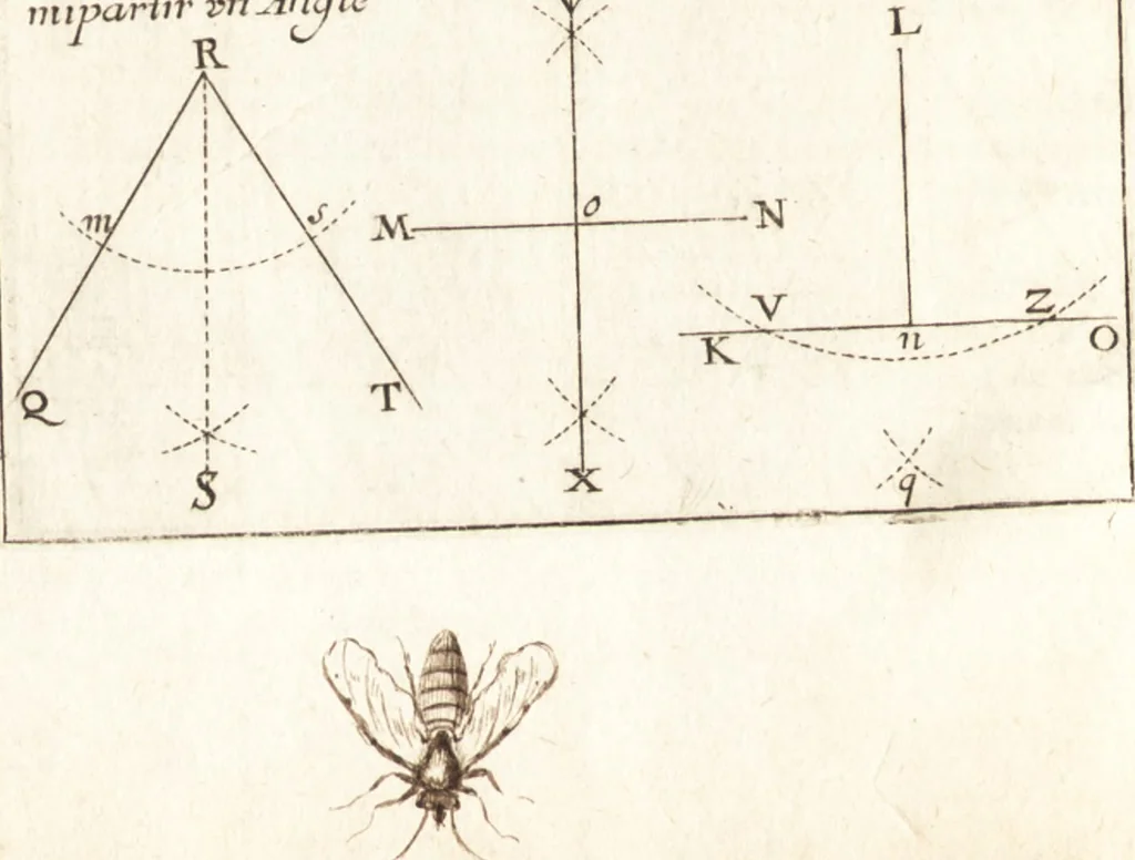 An illustration from Traité des pratiques geometrales et perspectives : enseignées dans l'Academie royale de la peinture et sculpture, 1665, leaf 85