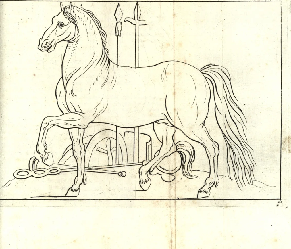 An illustration from A treatise of painting, 1721, leaf 198