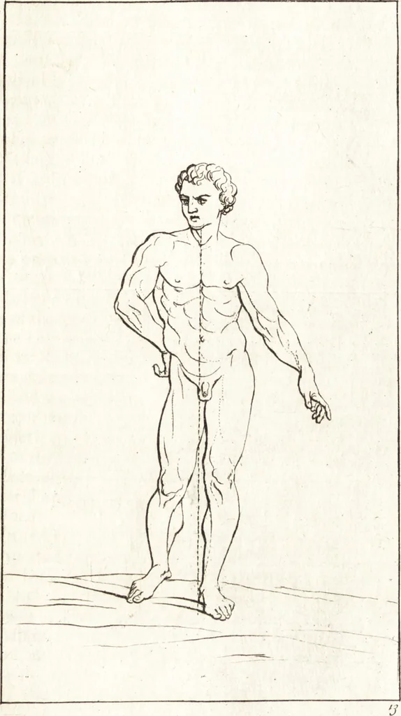 An illustration from A treatise of painting, 1721, leaf 164