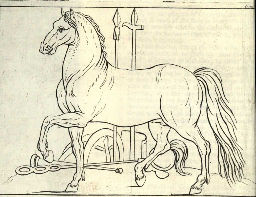 An illustration from A treatise of painting, 1721, leaf 199