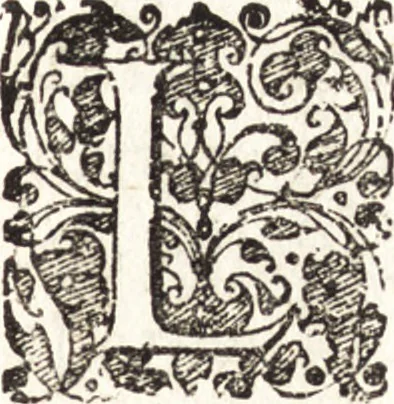 An illustration from I trionfi dell'architettvra nella sontuosa residenza di Monaco ..., 1680, leaf 10