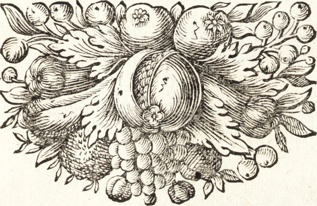 An illustration from I trionfi dell'architettvra nella sontuosa residenza di Monaco ..., 1680, leaf 160