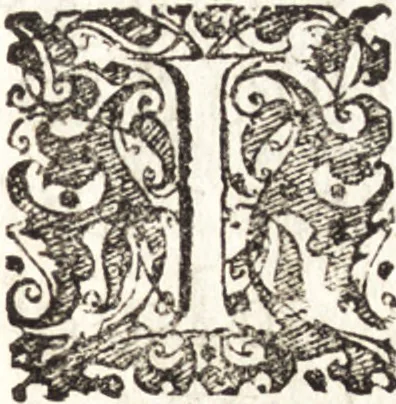 An illustration from I trionfi dell'architettvra nella sontuosa residenza di Monaco ..., 1680, leaf 6