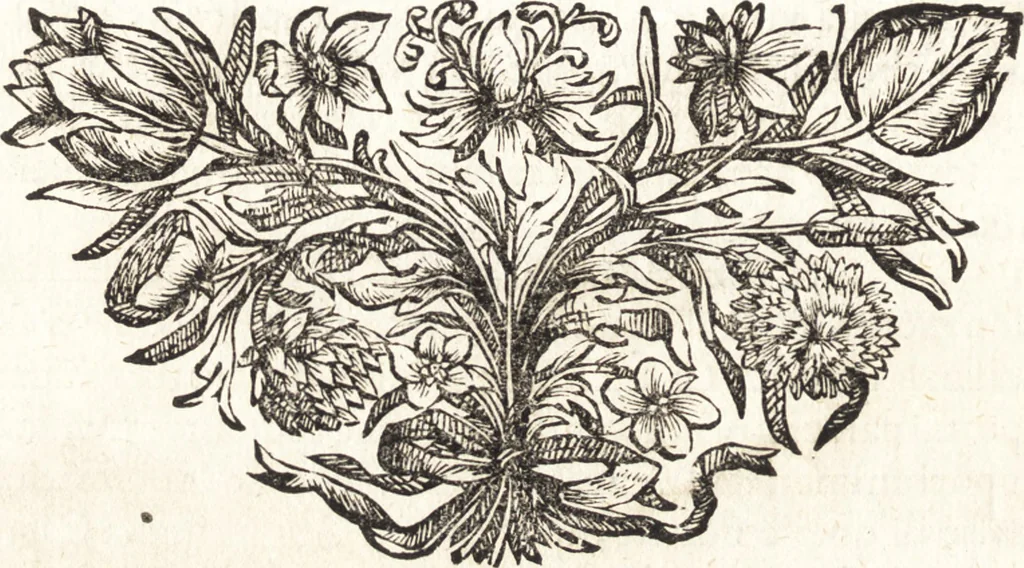 An illustration from I trionfi dell'architettvra nella sontuosa residenza di Monaco ..., 1680, leaf 9
