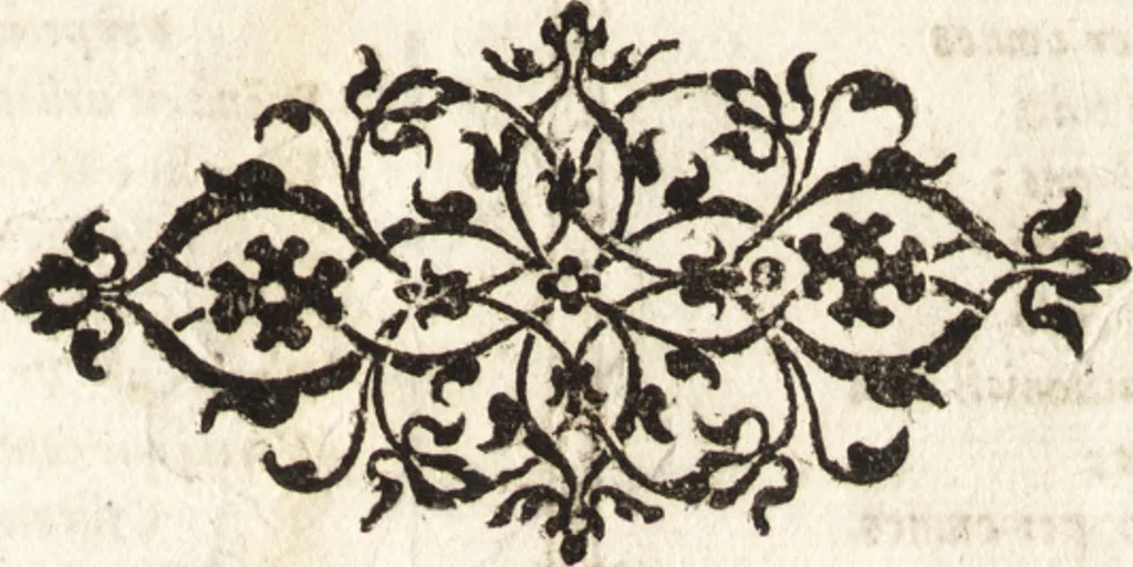 An illustration from Tychonis Brahe Astronomiae instauratae mechanica, 1602, leaf 108