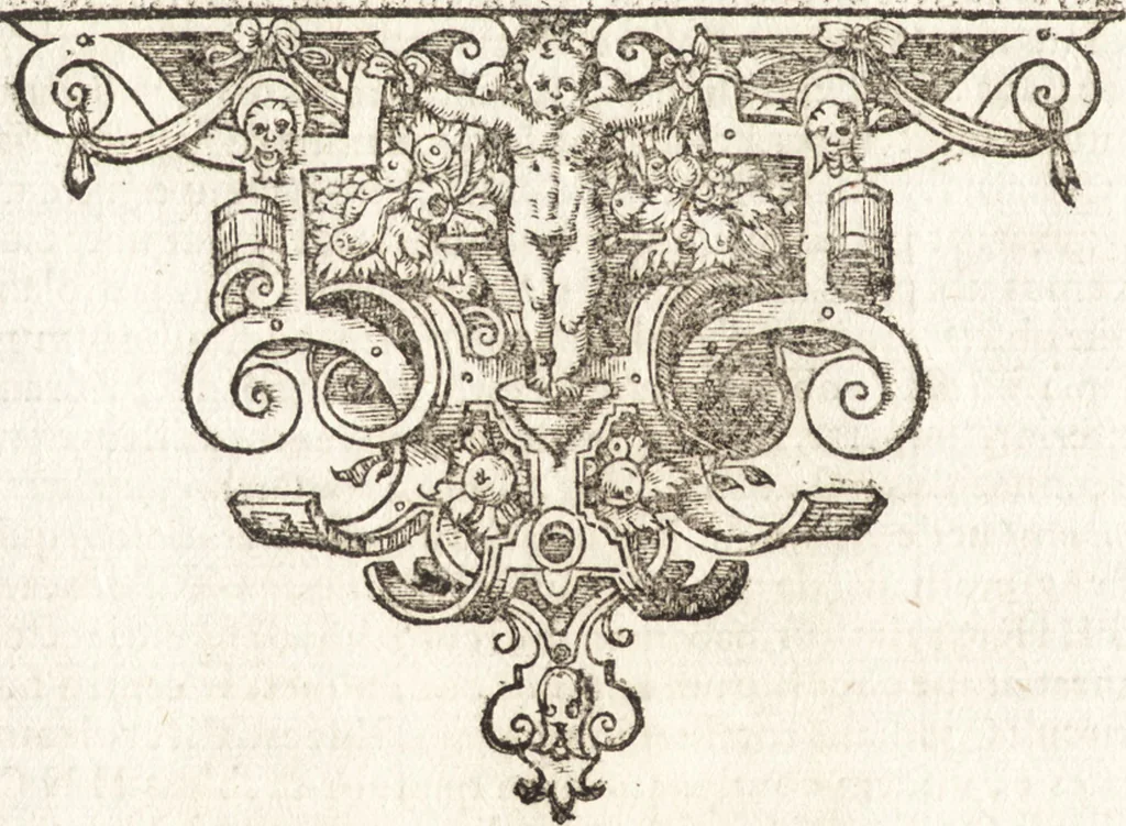 An illustration from Tychonis Brahe Astronomiae instauratae mechanica, 1602, leaf 19