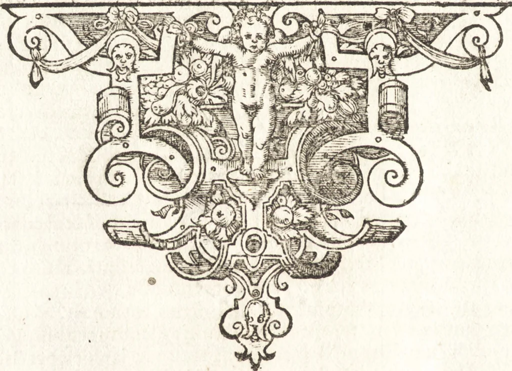 An illustration from Tychonis Brahe Astronomiae instauratae mechanica, 1602, leaf 31