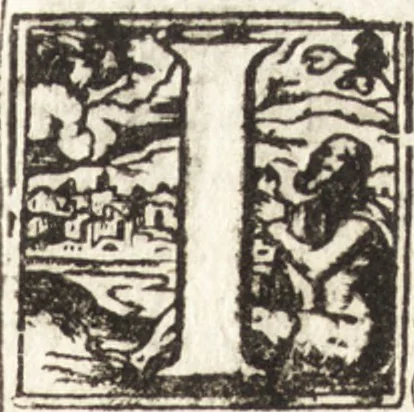 An illustration from Tychonis Brahe Astronomiae instauratae mechanica, 1602, leaf 36