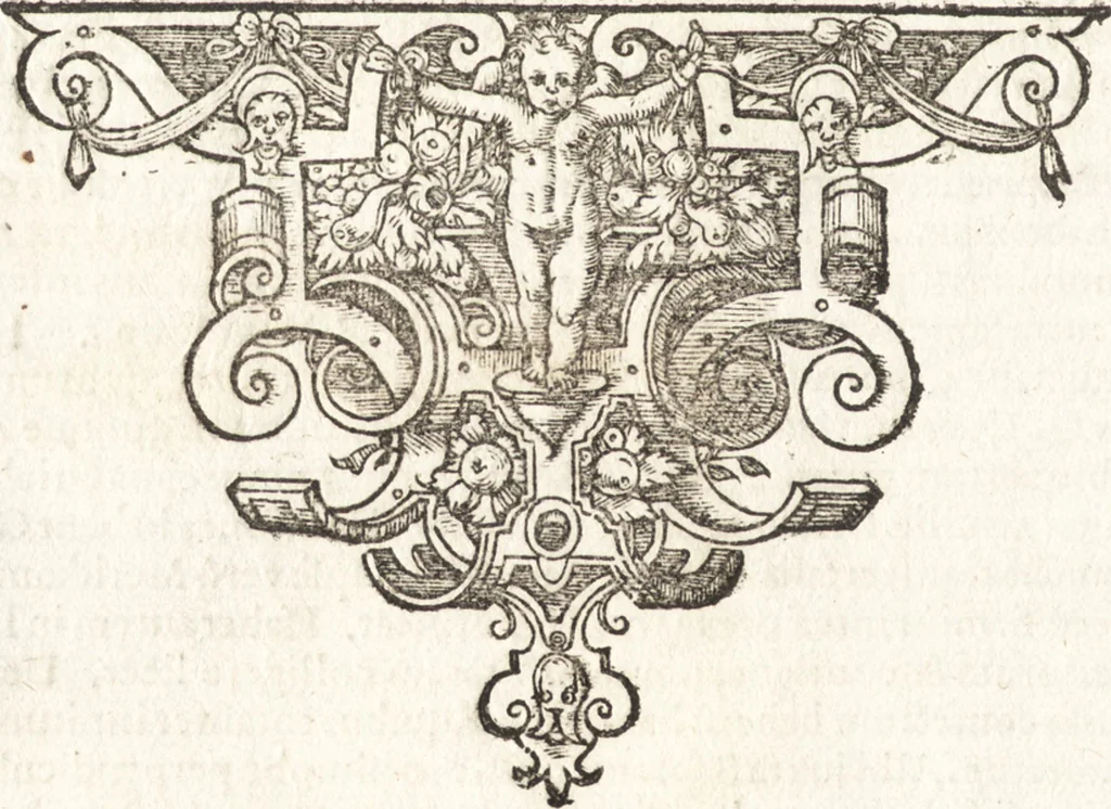 An illustration from Tychonis Brahe Astronomiae instauratae mechanica, 1602, leaf 43