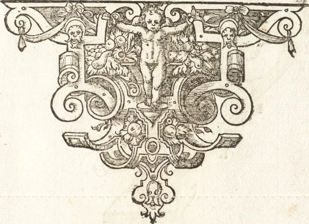 An illustration from Tychonis Brahe Astronomiae instauratae mechanica, 1602, leaf 52