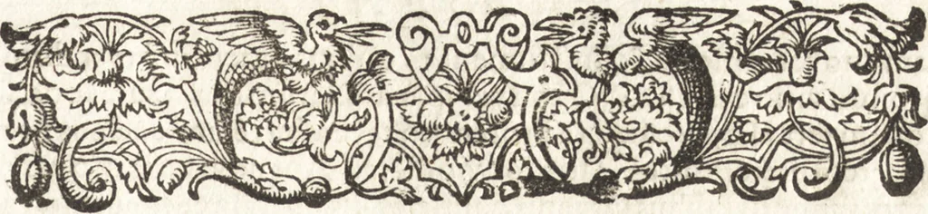 An illustration from Tychonis Brahe Astronomiae instauratae mechanica, 1602, leaf 6