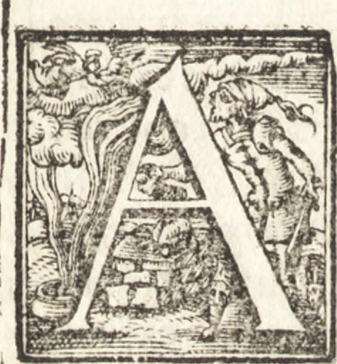 An illustration from Tychonis Brahe Astronomiae instauratae mechanica, 1602, leaf 6
