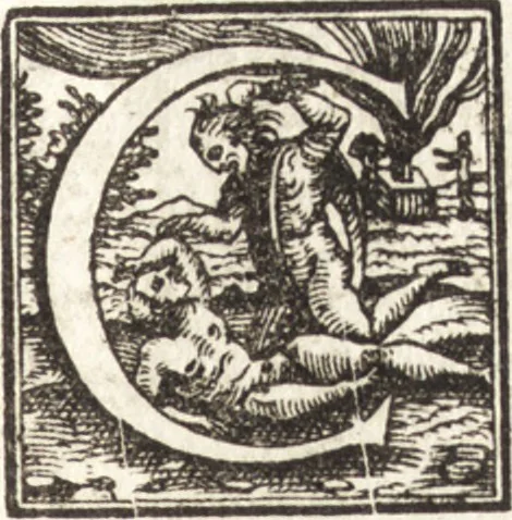 An illustration from Tychonis Brahe Astronomiae instauratae mechanica, 1602, leaf 60