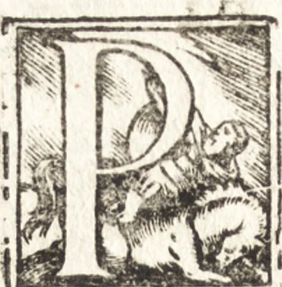 An illustration from Tychonis Brahe Astronomiae instauratae mechanica, 1602, leaf 63