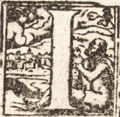 An illustration from Tychonis Brahe Astronomiae instauratae mechanica, 1602, leaf 66