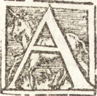 An illustration from Tychonis Brahe Astronomiae instauratae mechanica, 1602, leaf 76
