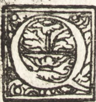 An illustration from Tychonis Brahe Astronomiae instauratae mechanica, 1602, leaf 77